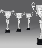 puchary, puchar 5322/1